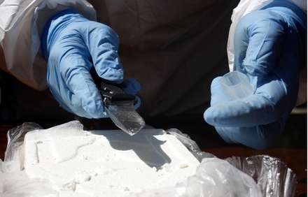 Главный фигурант по делу о контрабанде 400 килограммов кокаина выдан России