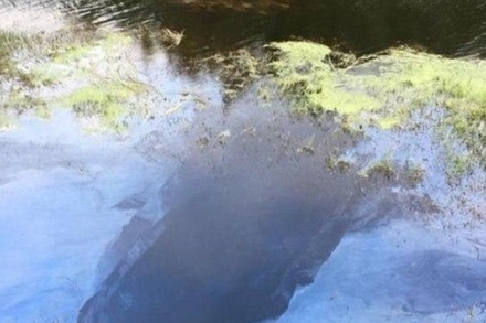 Жители подмосковной Шатуры пожаловались на 8-километровое пятно на реке