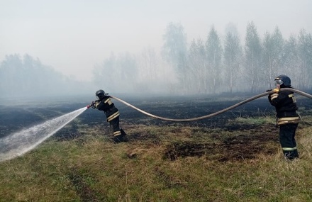 Под Курганом возник крупный природный пожар