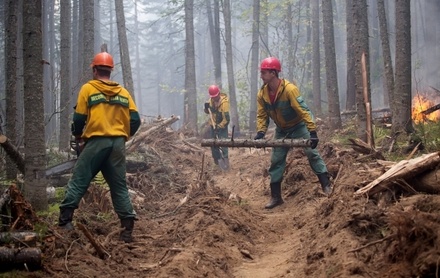 В Бурятии локализованы все лесные пожары