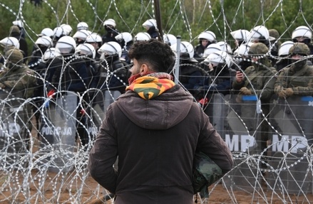 Депутат Госдумы нашёл виновных в мигрантском кризисе в Белоруссии