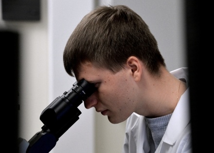 Фармацевтические компании России заморозили половину клинических исследований