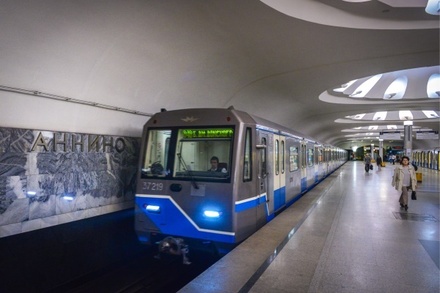 Пассажир погиб после падения на рельсы на серой ветке московского метро