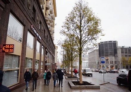 Ландшафтный архитектор опровергла гибель деревьев на Тверской улице в Москве