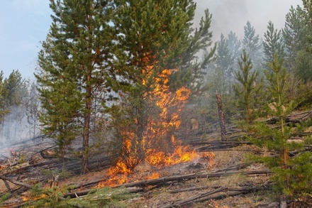 В Бурятии горит 73 тысячи гектаров леса