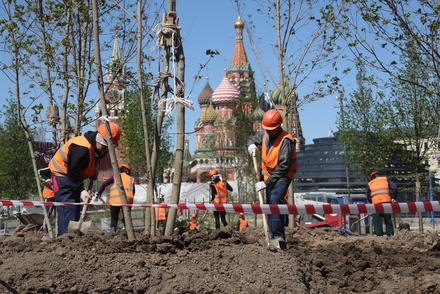 128 московских парков благоустроят ко Дню города