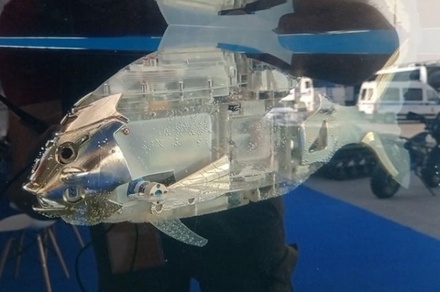 Самарские учёные создали подводного робота в виде окуня