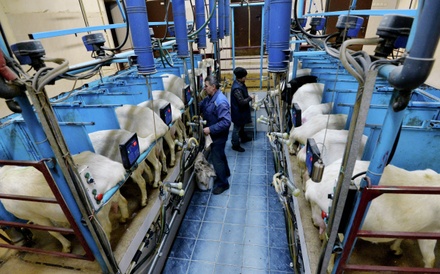 Минск считает необоснованным запрет поставок молочной продукции в Россию