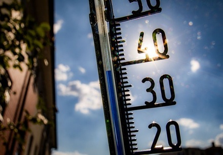 Учёные предсказали пятикратный рост смертности из-за жары к 2080 году