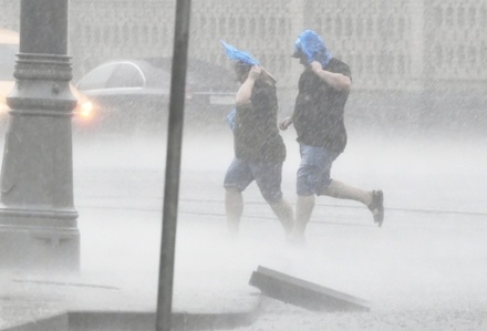 Жителей Московской области предупредили о приближении шторма с грозой