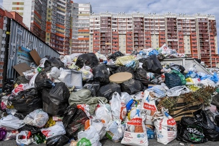 В правительстве сообщили о возможном банкротстве операторов по вывозу мусора в 11 регионах