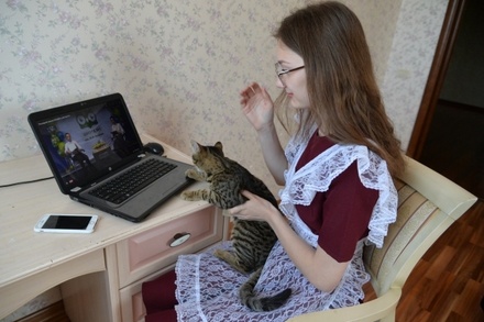 В России хотят разрешить покупку за счёт маткапитала техники для онлайн-учёбы