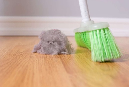Аллерголог перечислила способы борьбы с клещами домашней пыли