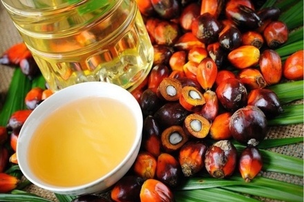 Россельхознадзор предложил ввести контроль за перемещениями пальмового масла
