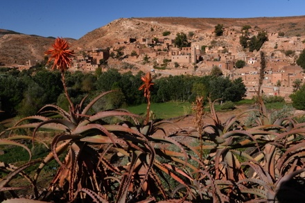 Власти Марокко смягчили условия для въезда туристов       