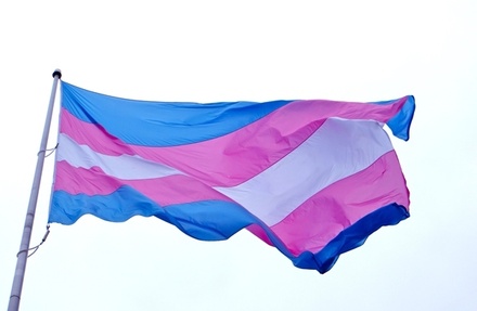 В Кремле прокомментировали инициативу Совфеда о запрете трансгендерам жениться