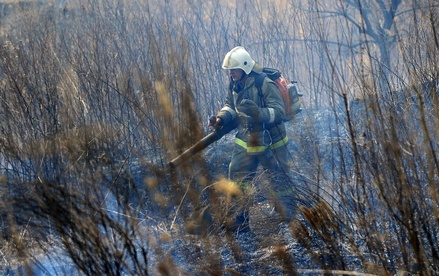 МЧС обвинило приморские власти в ухудшении ситуации с лесными пожарами