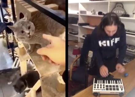 Участница вирусного ролика с «поющим» котом рассказала о создании видео