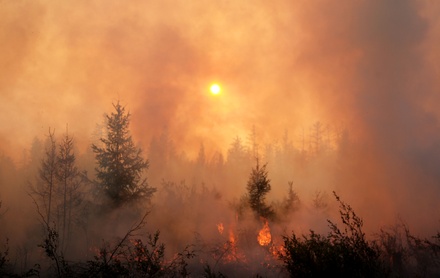 Авиалесоохрана искусственно вызывает дожди для борьбы с лесными пожарами в России