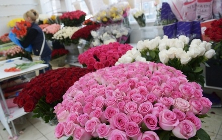 Цена на цветы в России может вырасти в 2,5 раза после введения эмбарго