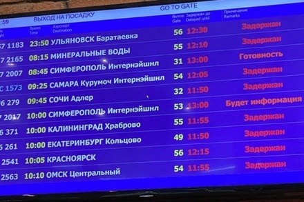 СМИ узнали причину задержек рейсов в аэропорту Домодедово