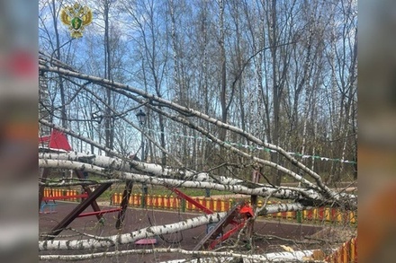 Двухлетняя девочка пострадала в результате падения дерева на детскую площадку в Красногорске