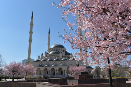 В Чечне хотели бы видеть мечеть Кадырова на новой рублёвой купюре