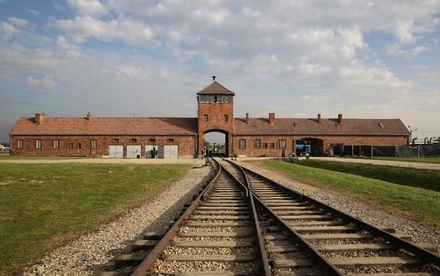 Полиция Польши арестовала туриста из США за кражу экспоната из музея Освенцима