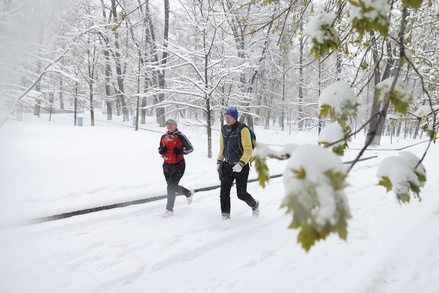 На регионы Урала обрушились снегопады