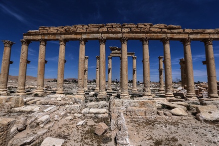 Эрмитаж поможет Сирии восстановить музей Пальмиры