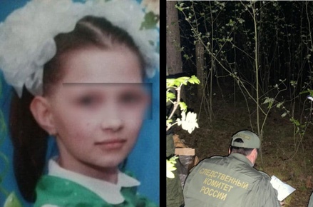 СМИ: потенциальный убийца ребёнка в Нижегородской области дал признательные показания