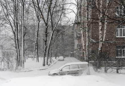 Синоптики предупредили москвичей о снегопаде и метели