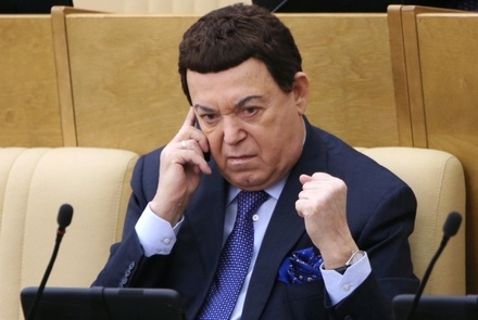 В ЕР не нашли оснований для лишения Кобзона мандата депутата из-за паспорта ДНР