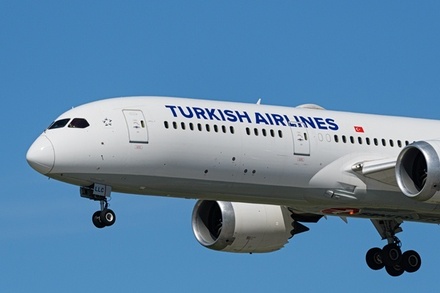 Россия возобновляет авиасообщение с Турцией 22 июня