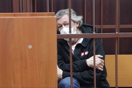 Адвокатов по делу Михаила Ефремова обвинили в саморекламе