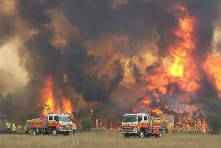 Число жертв лесных пожаров на восточном побережье Австралии увеличилось до восьми