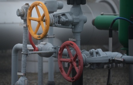 Эксперт назвала опасным решение ЕС полностью отказаться от газа