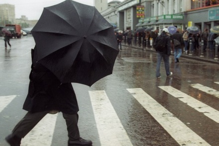 В Москве объявлен жёлтый уровень опасности из-за ветра
