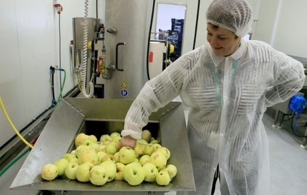 Фермеры назвали подорожание российских яблок обоснованным