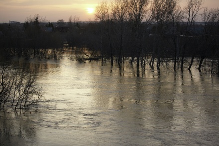 В Омской области из-за паводка эвакуирован 271 человек