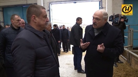 Лукашенко уволил министра сельского хозяйства из-за грязного коровника