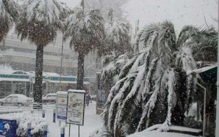 Власти Сочи просят прокуратуру разобраться в неготовности спецслужб к снегопадам