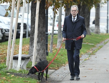 Семья президента Австрии с собакой пришла на парламентские выборы