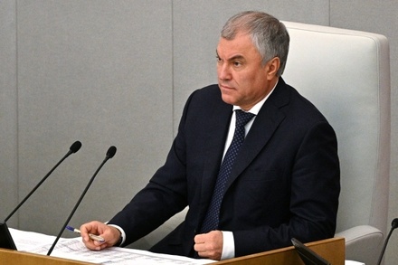 Вячеслав Володин назвал условия для возобновления «зерновой сделки»