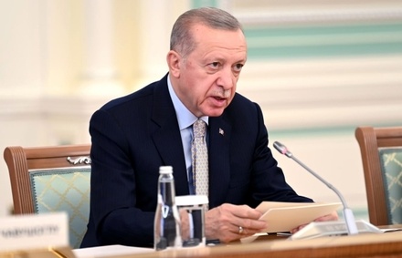 Политолог заподозрил в пиаре главу Турции, одобрившего отвод войск РФ из Херсона