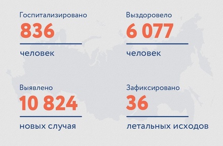 В России за сутки зафиксировано 10 824 случая заражения коронавирусом