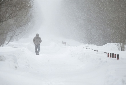 Прирост снежного покрова в Москве за минувшие сутки составил 3 сантиметра