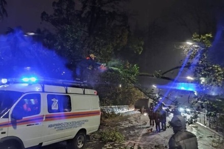 В Сочи из-за урагана погиб человек