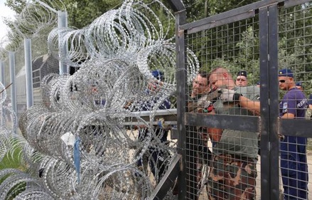 В армию Венгрии призвали резервистов из-за потока мигрантов