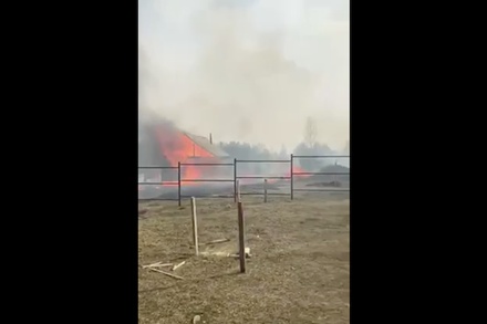 Под Красноярском из-за пала травы сгорели десять домов